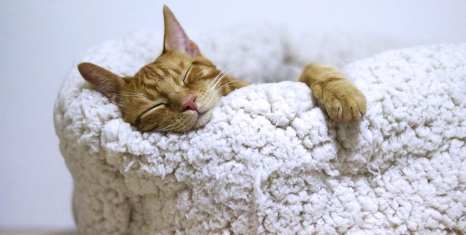 sleep challenges