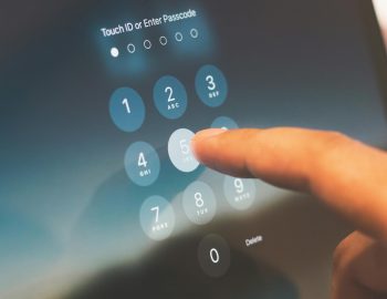 Elizabeth Sirois